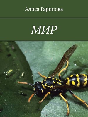 cover image of Мир